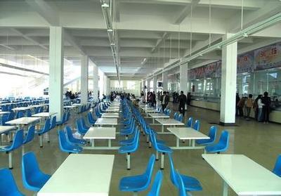 河源食堂托管服務 價格合理、管理可靠的解決方案與企業咨詢服務新動態